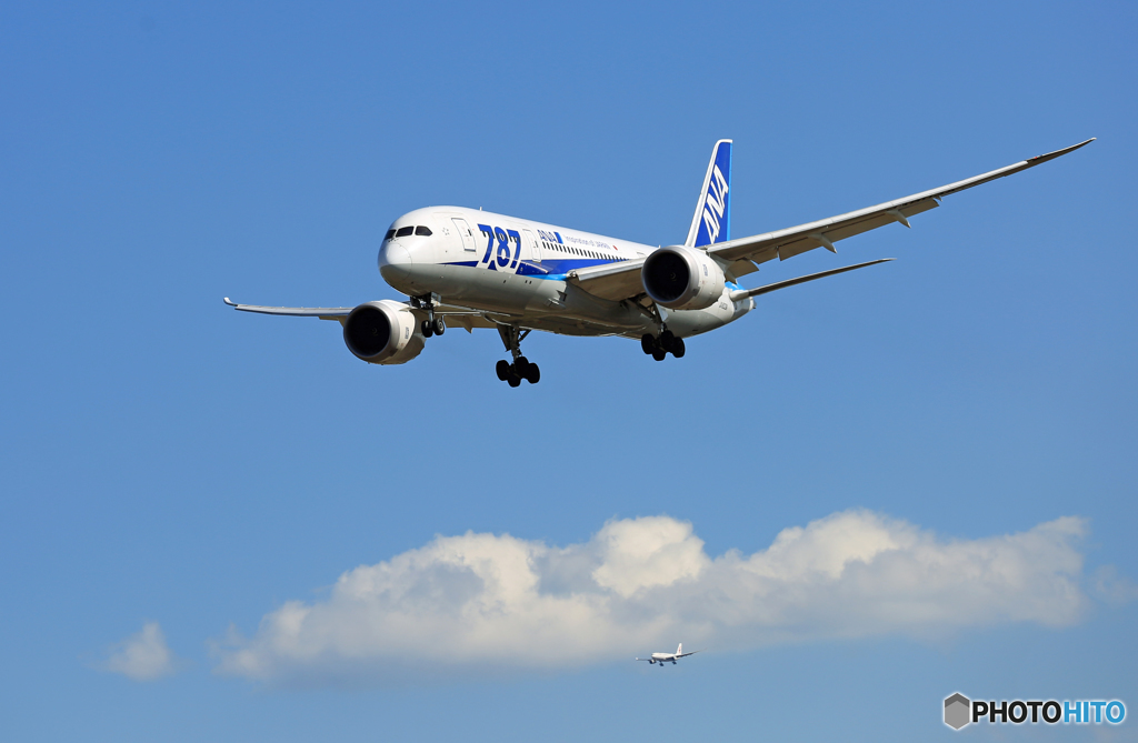　「すかい」 ANA 787-8 JA803A到着