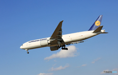 「ぶるー」Lufthansa 777-FBT D-ALFE Landing 「ぶるー」Lufthansa 777-FBT D-ALFE Landing