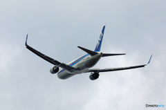 飛び立ち　ANA 767-300 JA619A