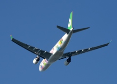 離陸（459）EVA A330-203