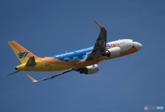 出発　SEBU A320-200