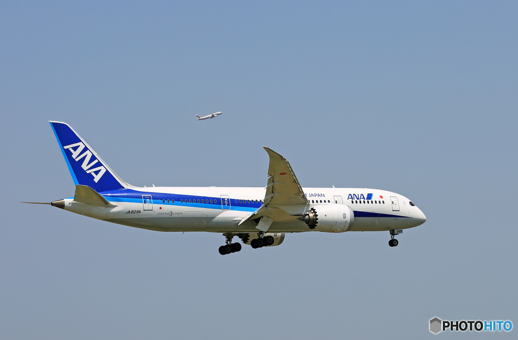 「すかい」 ANA 787-8 JA829A 着陸