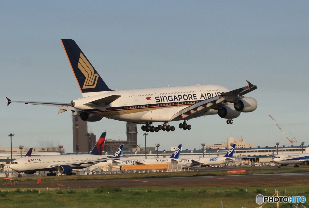 到着　Singapore A380-841