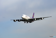 着陸 THAI A380-841 HS-TUE