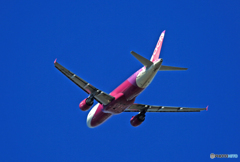 「SKY」 ☀peach A320-214 JA804P