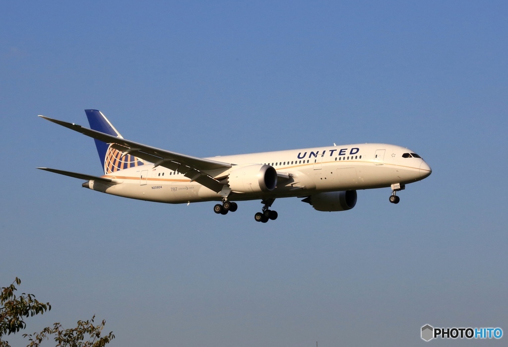 UNITED 787-8 N20904 到着　