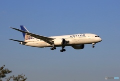 UNITED 787-8 N20904 到着　