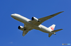 「そらー」 JAL 787-8 JA841J