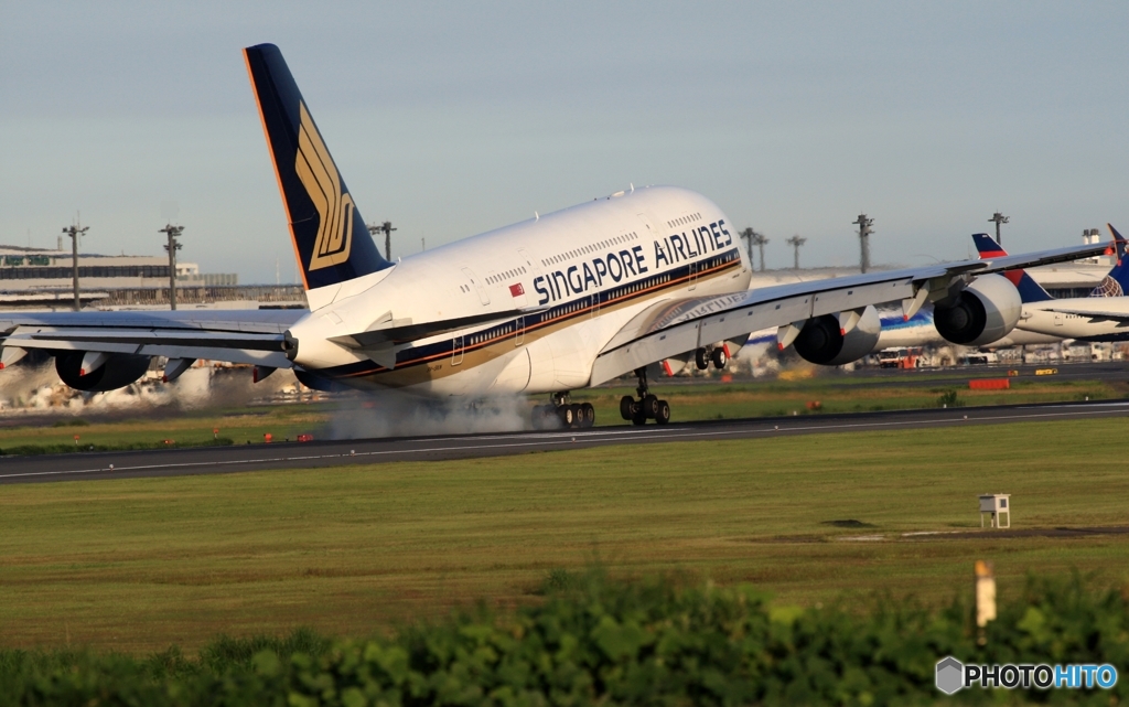 SINGAPORE A380-841 到着　