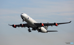 SAS A330-300 OY-KBM