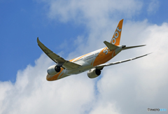 「SKY」 scoot 787-8 9V-OFE 離陸