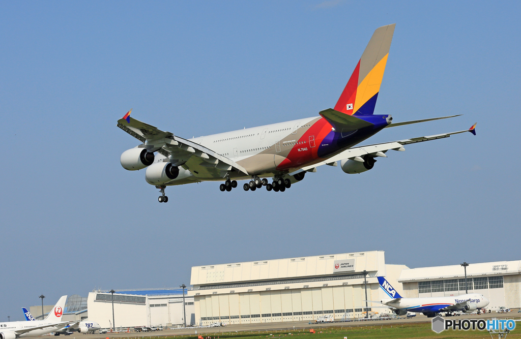 [青い空]　ASIANA A380-841 HL7640