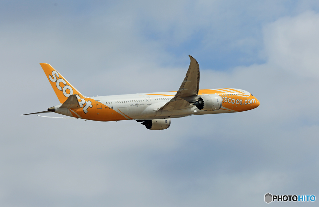 「すかい」  scoot 787-9 9V-OJE