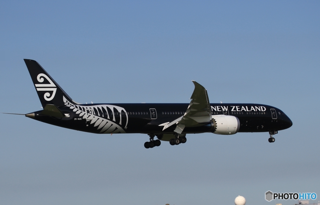 Air New Zealand 「All Blacks」787-9 ZK-NZE
