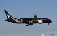 Air New Zealand 「All Blacks」787-9 ZK-NZE