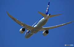 ANA 787-8 JA820A 離陸　