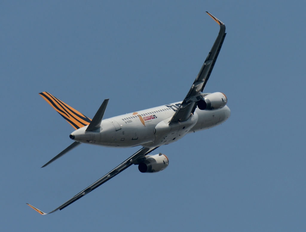 飛び立ち　TIGERAIR TAIWAN A320-232