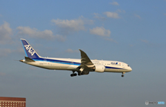 [青い空]　ANA 787-9 ⑤機目JA839A