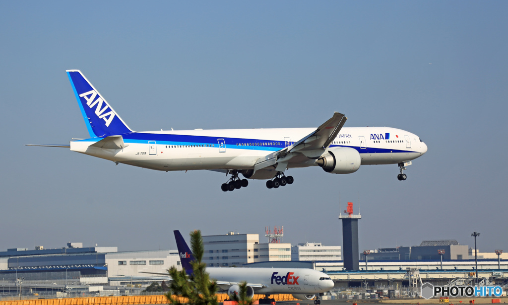ANA 777-381 JA781A 到着 