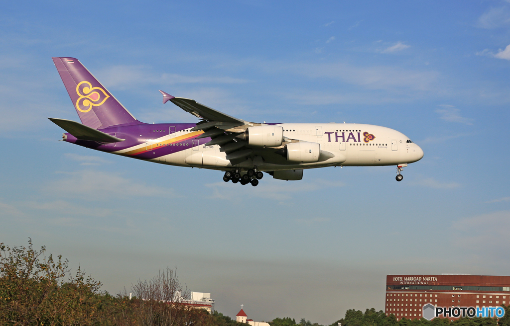「青い空」 Thai A380-841 HS-TUD