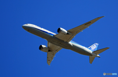 「そらー」 ANA 787-8 JA839A Takeoff