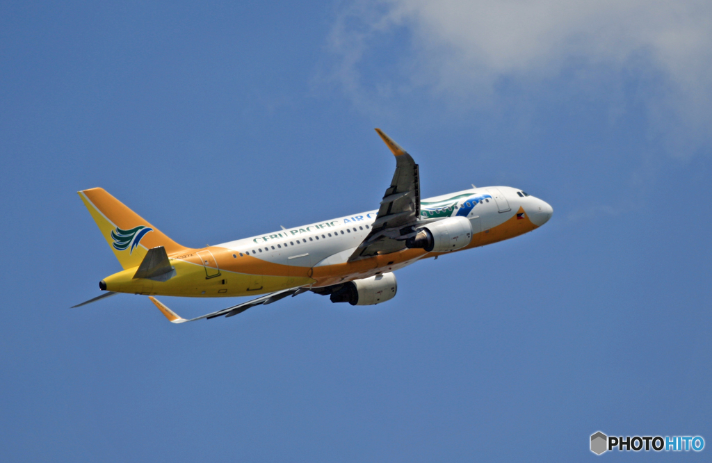 CEBU A320-214 RP-C3272 出発 