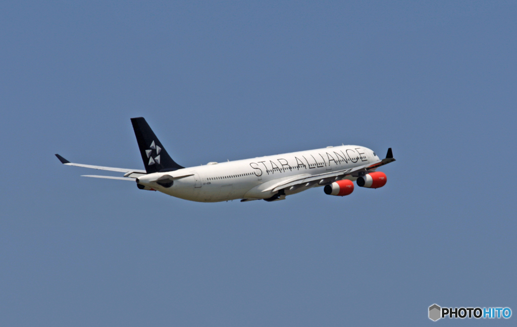 SAS STAR A340-313 OY-KBM 離陸 