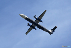 「空色」 Aurora DHC-8-402Q RA-67260 飛行