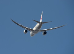 JAL 787-8 飛行