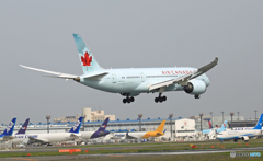 到着 Air Canada 787-8 JA831A