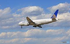 「空色」 UNITED 777-224 N77019着陸