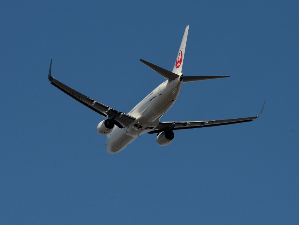 飛行 JAL 737-800