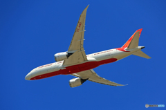 「すかい」 Air India 787-8 VT-ANT離陸