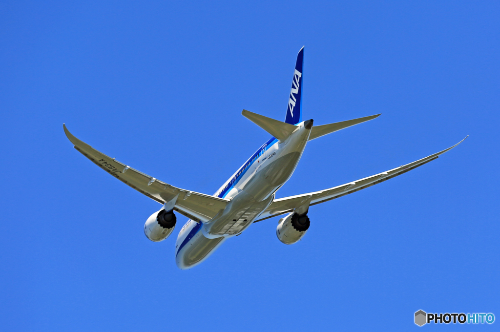 「青い空」 ANA 787-8 JA834A