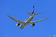 「青い空」 ANA 787-8 JA834A