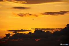 ☮ 休憩ﾀｲﾑ(501)  「夕焼け空」 と 「飛行機 」 ☮