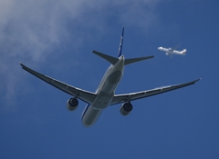 ピントが合っていません?！