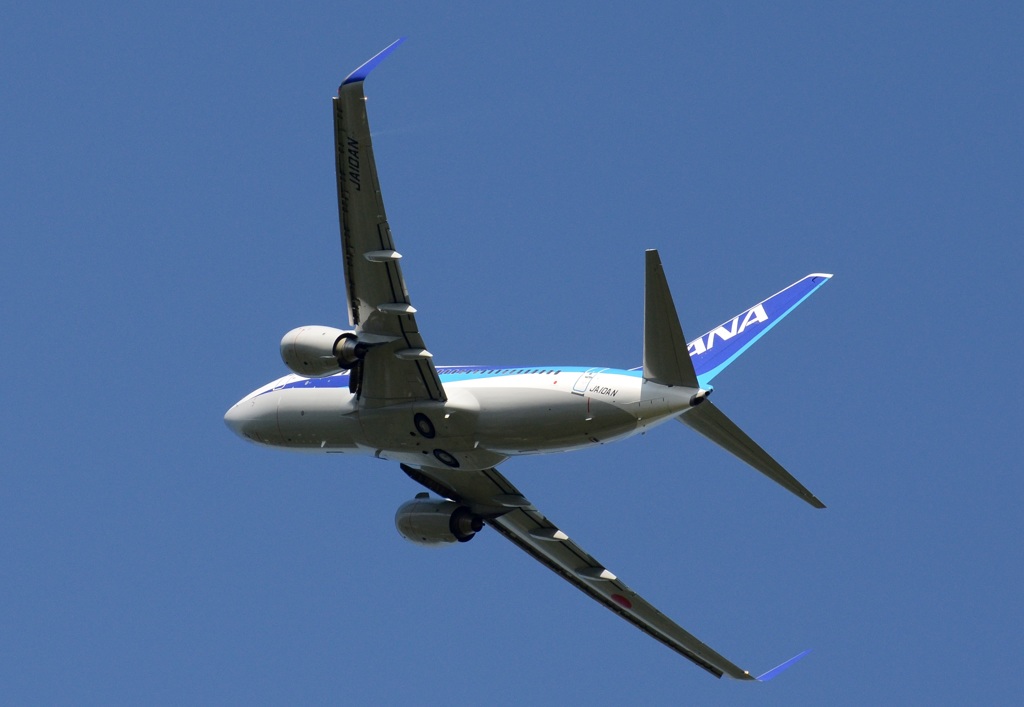ANA 737-781 