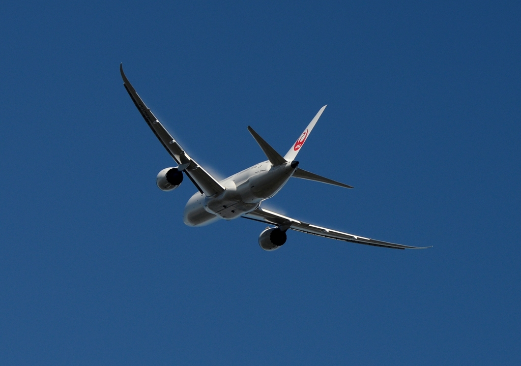 JAL 787-8 