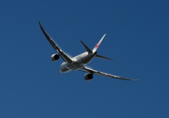 JAL 787-8 