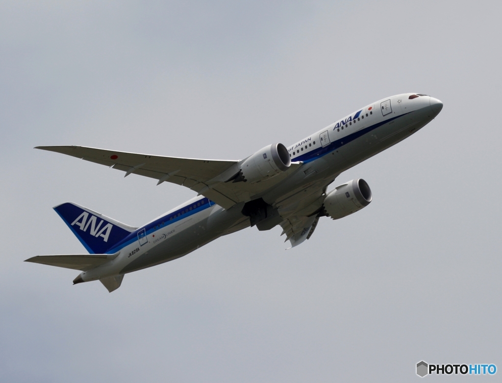 ANA 787-8 飛行　