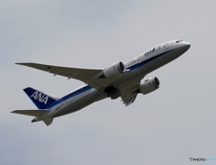 ANA 787-8 飛行　