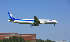到着 ANA 777-381 JA792A