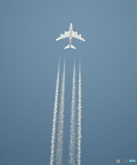飛行機雲です！ ASIANA Airbus A380 / 上空 １１、５００ｍ
