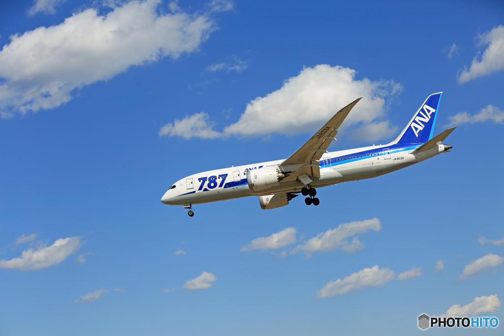 「すかい」 ANA 787-8 JA803A到着