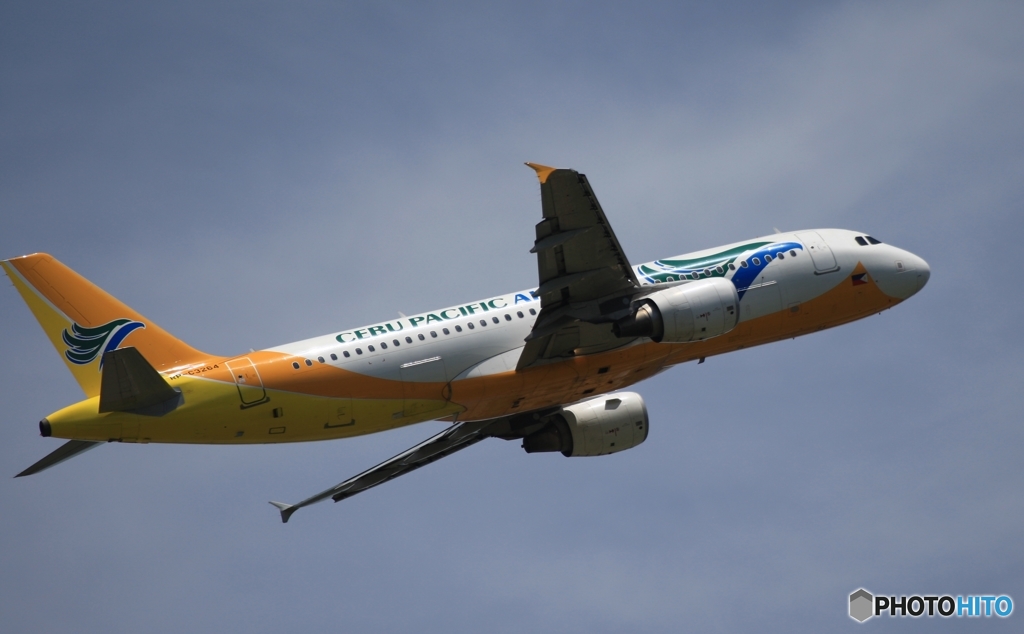 飛び立ち　CEBU A320-214 