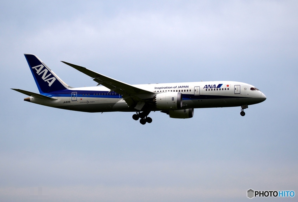 ANA 787-8 到着　