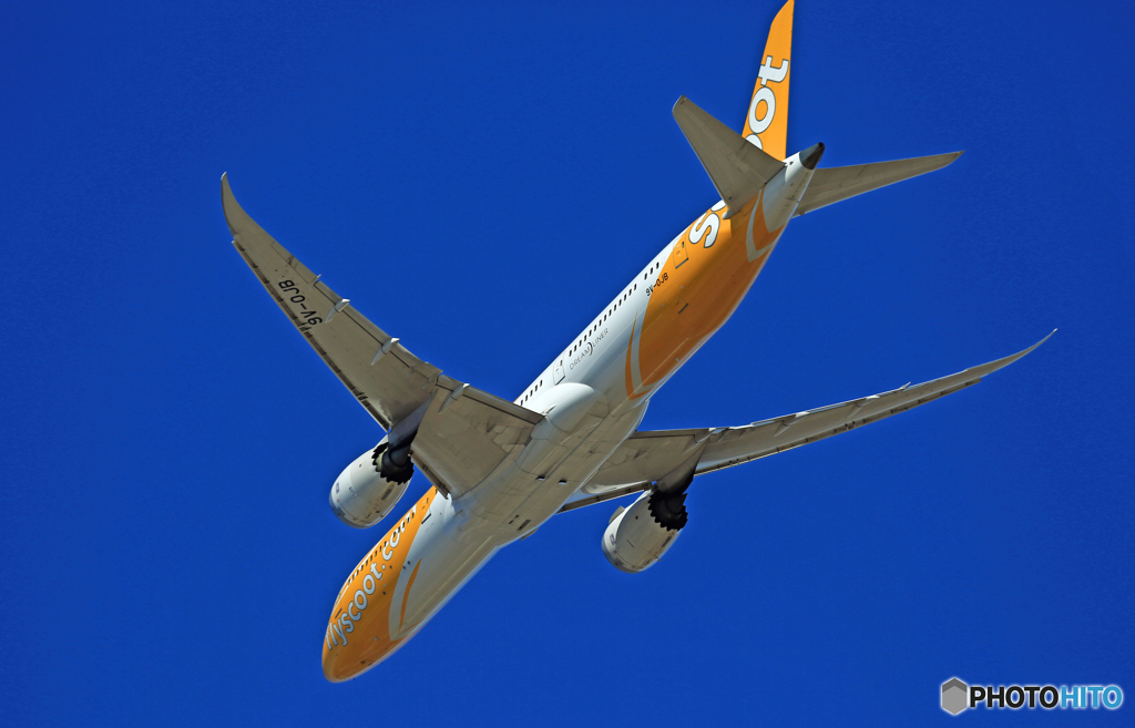 [青い空]　scoot 787-9 9V-OJB 出発 