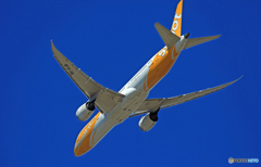 [青い空]　scoot 787-9 9V-OJB 出発 