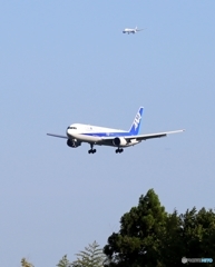 到着　ANA 767-300 +